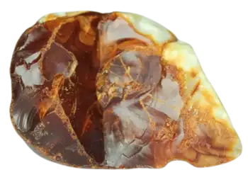 Amber - کهربا
