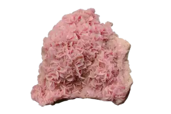 Rhodochrosite - رودوکروزیت